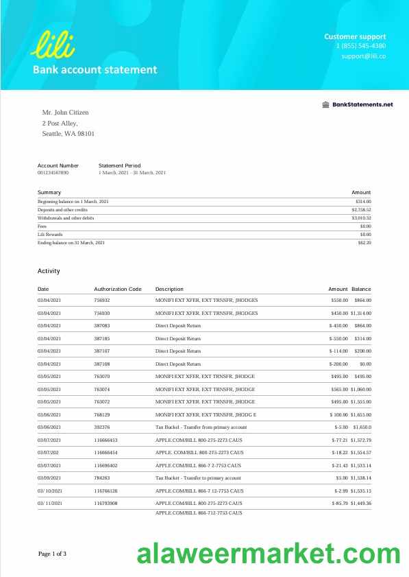 USA Lili bank statement Word